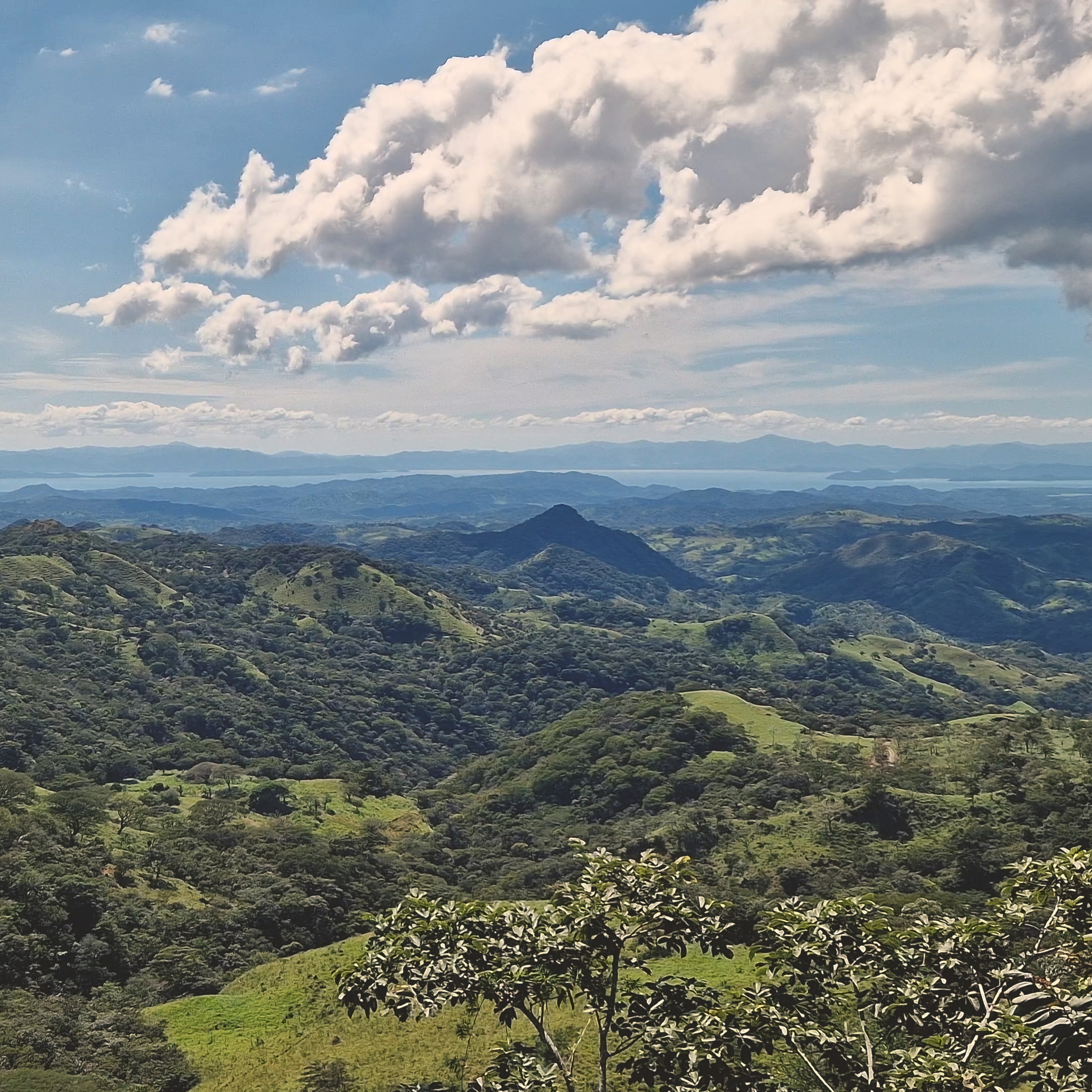 Cecilia Canas Valencia Ceci Caval