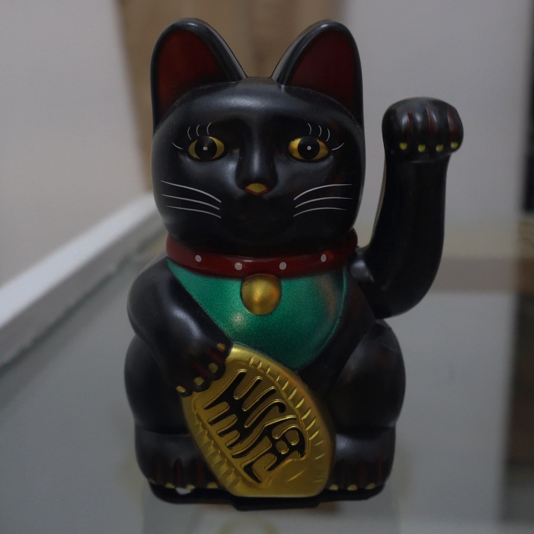 Cecilia Canas Valencia Ceci Caval